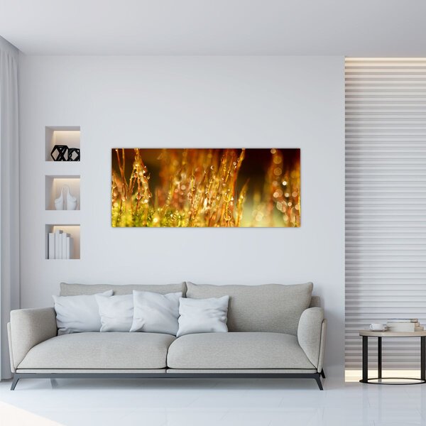 Kép - Harmat részlete (120x50 cm)