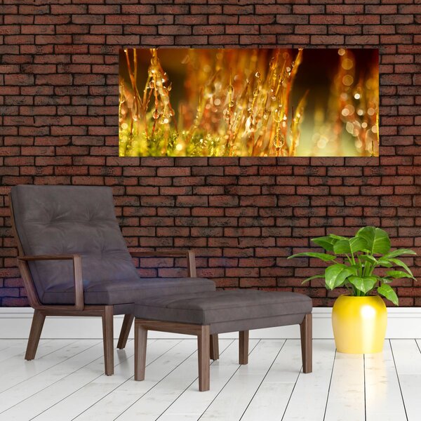 Kép - Harmat részlete (120x50 cm)