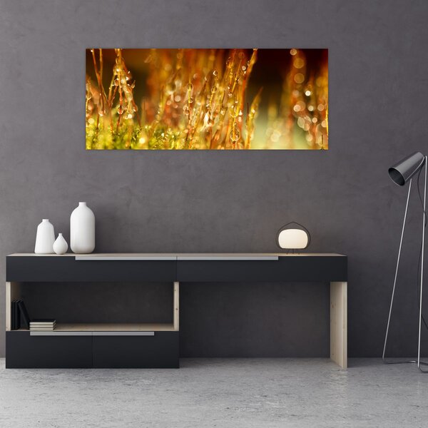 Kép - Harmat részlete (120x50 cm)