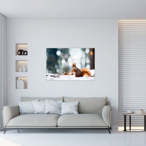 Kép - Mókus (90x60 cm)