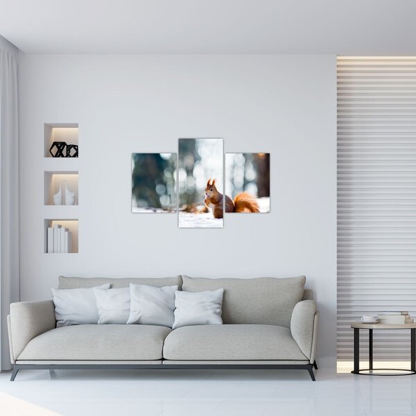 Kép - Mókus (90x60 cm)