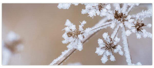 Kép - Fagy (120x50 cm)
