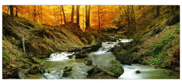 Kép - Erdő (120x50 cm)