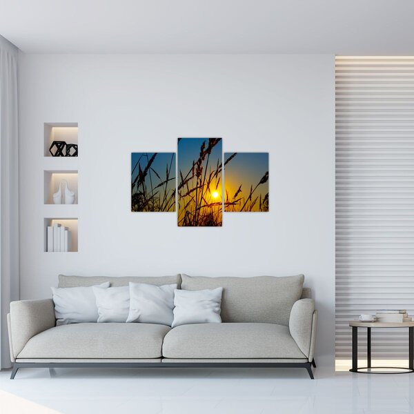Kép - naplemente a réten (90x60 cm)