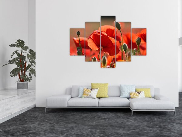 Pipacsok képe (150x105 cm)