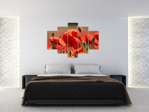 Pipacsok képe (150x105 cm)