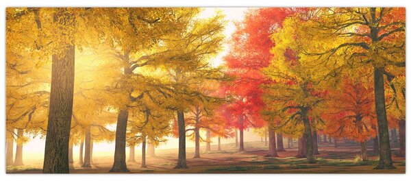 Őszi fák képe (120x50 cm)