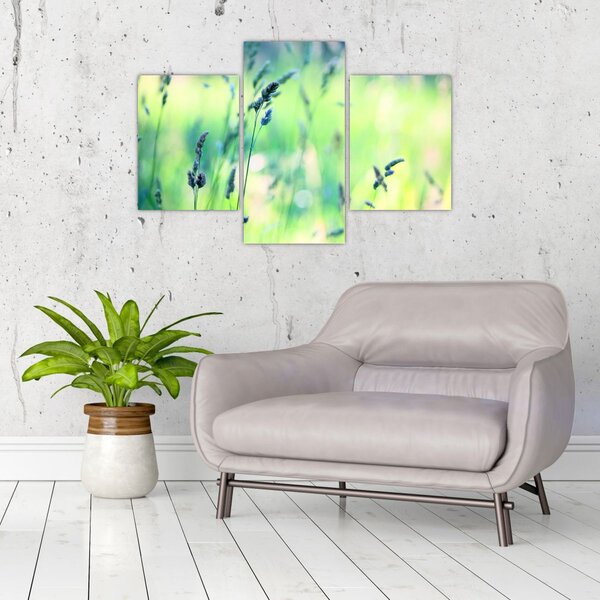 Kép - Rét részlete (90x60 cm)
