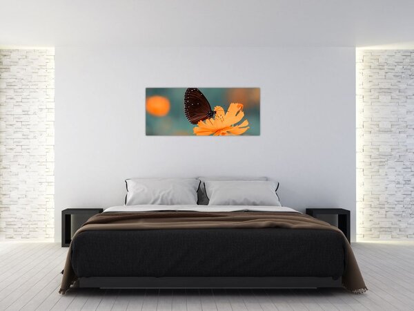 Kép - pillangó narancssárga virágon (120x50 cm)