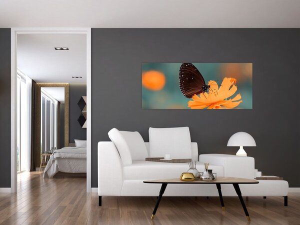 Kép - pillangó narancssárga virágon (120x50 cm)