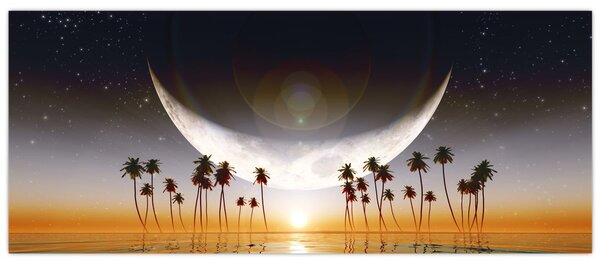 Kép - Hold a pálmafák felett (120x50 cm)