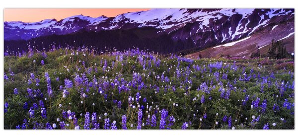 Kép - Vulkán és a virágok (120x50 cm)