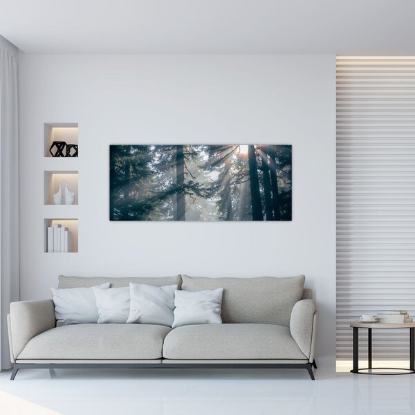 Fák képe a ragyogó nappal (120x50 cm)
