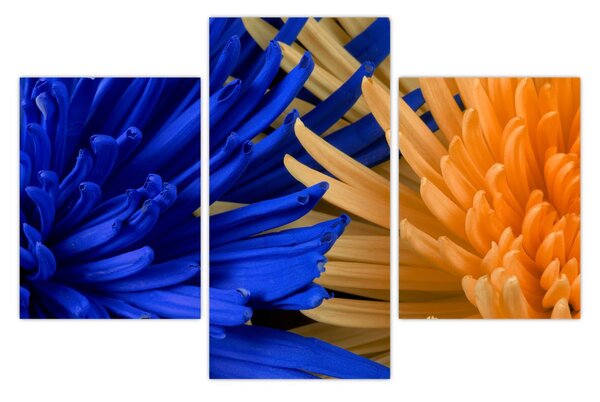 Részletes virágkép (90x60 cm)
