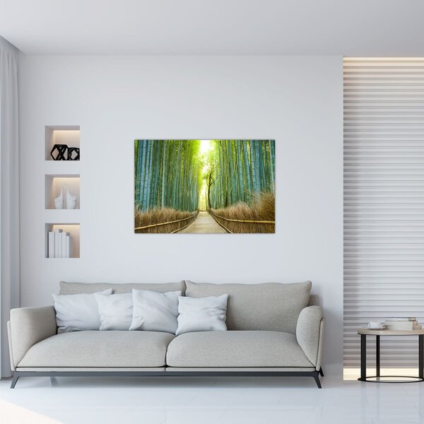 Kép - Bambusz erdő (90x60 cm)