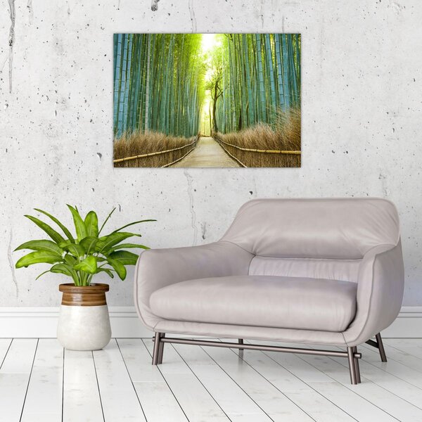 Kép - Bambusz erdő (70x50 cm)