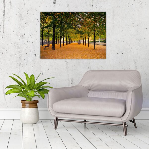 Egy kép az őszi fák sikátorából (70x50 cm)