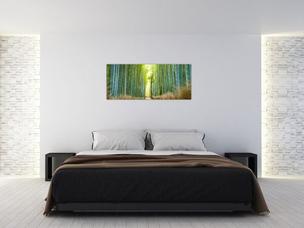 Kép - Bambusz erdő (120x50 cm)