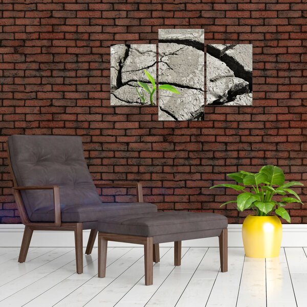 Kép - Repedések (90x60 cm)