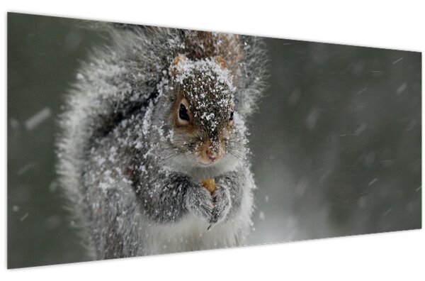 Kép - Mókus télen (120x50 cm)