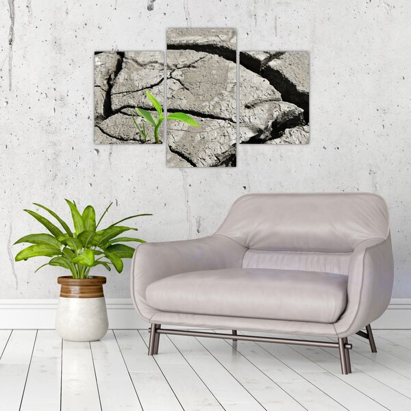 Kép - Repedések (90x60 cm)