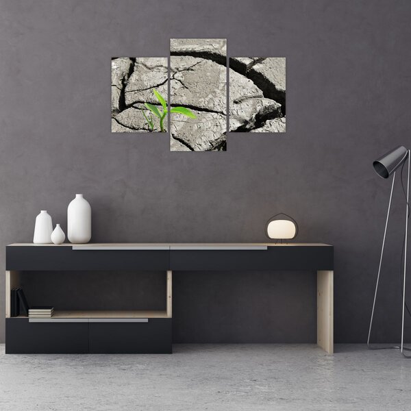 Kép - Repedések (90x60 cm)