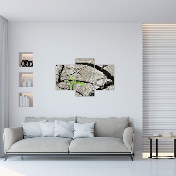Kép - Repedések (90x60 cm)