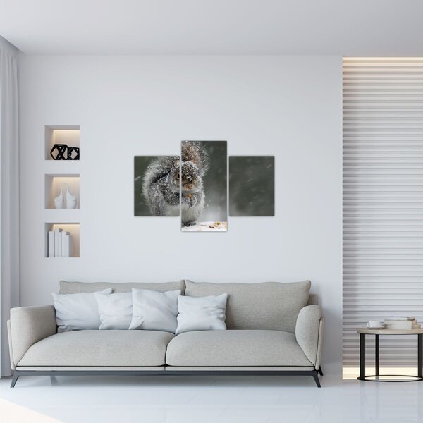 Kép - Mókus télen (90x60 cm)