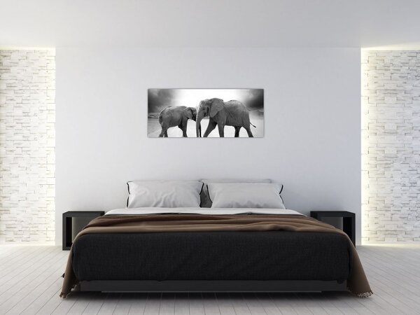 Kép - fekete fehér elefántok (120x50 cm)