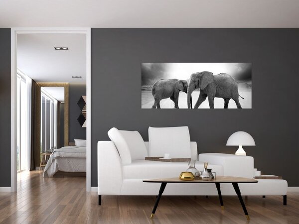 Kép - fekete fehér elefántok (120x50 cm)