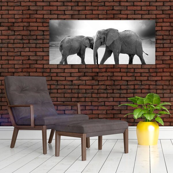 Kép - fekete fehér elefántok (120x50 cm)