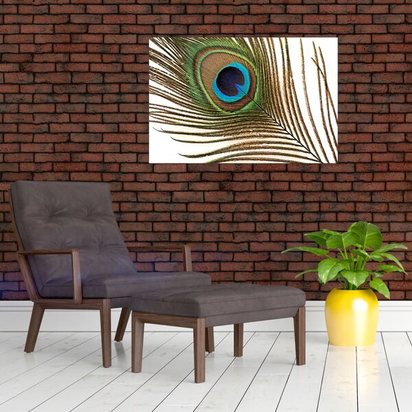 Pávatoll képe (90x60 cm)