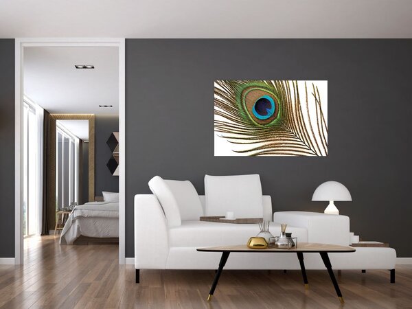 Pávatoll képe (90x60 cm)