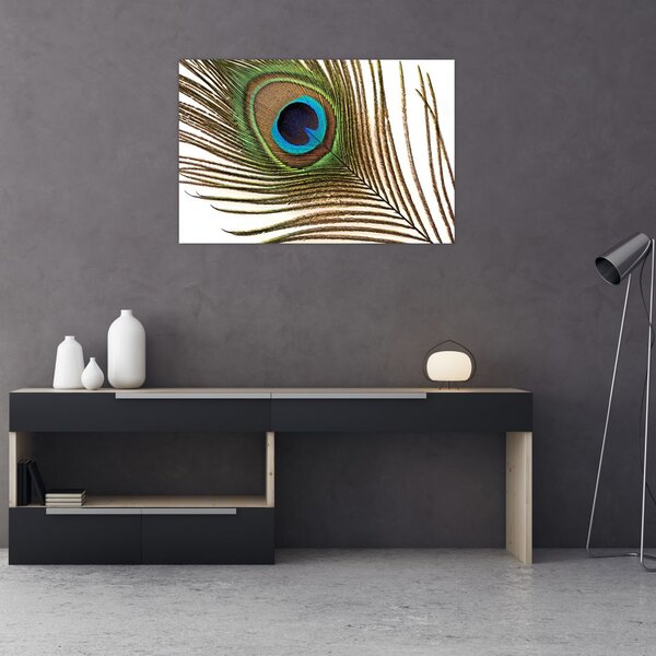 Pávatoll képe (90x60 cm)