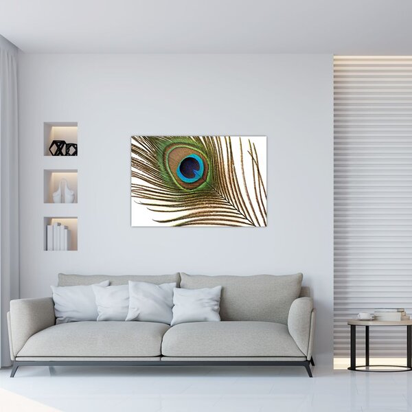 Pávatoll képe (90x60 cm)