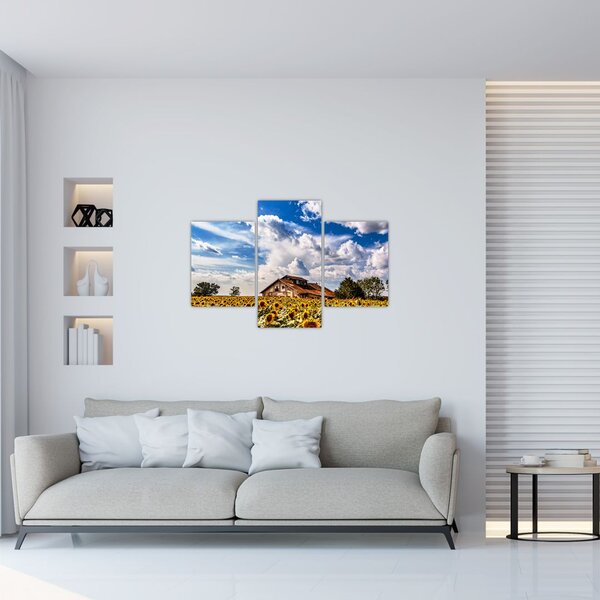 Napraforgó mező képe (90x60 cm)