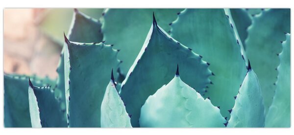 Kép - Szukulent (120x50 cm)