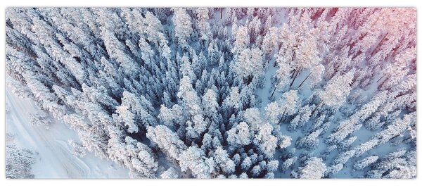 Havas fák képe (120x50 cm)