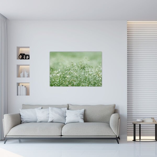 Kép - Reggeli harmat a fűszálakon (90x60 cm)