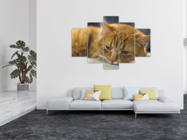 Macska képe (150x105 cm)