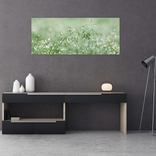 Kép - Reggeli harmat a fűszálakon (120x50 cm)