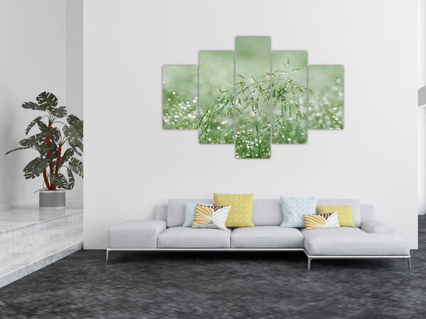 Kép - Reggeli harmat a fűszálakon (150x105 cm)