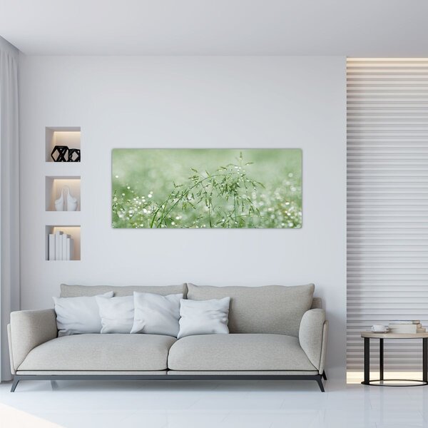 Kép - Reggeli harmat a fűszálakon (120x50 cm)