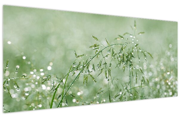 Kép - Harmat a fűben (120x50 cm)
