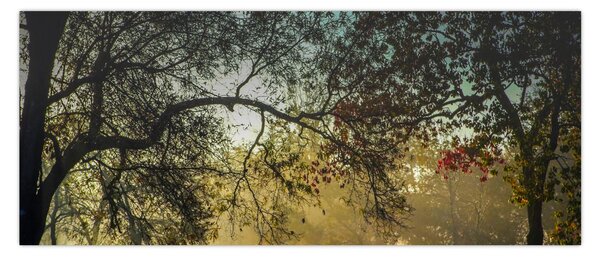 Napkelte képe (120x50 cm)
