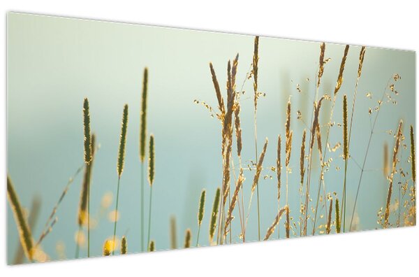 Kép - Réti pillanat (120x50 cm)