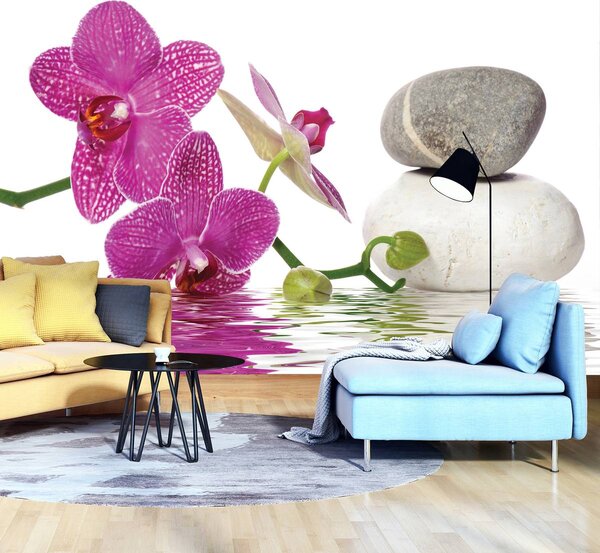 Fotótapéta - Orchideák (152,5x104 cm)