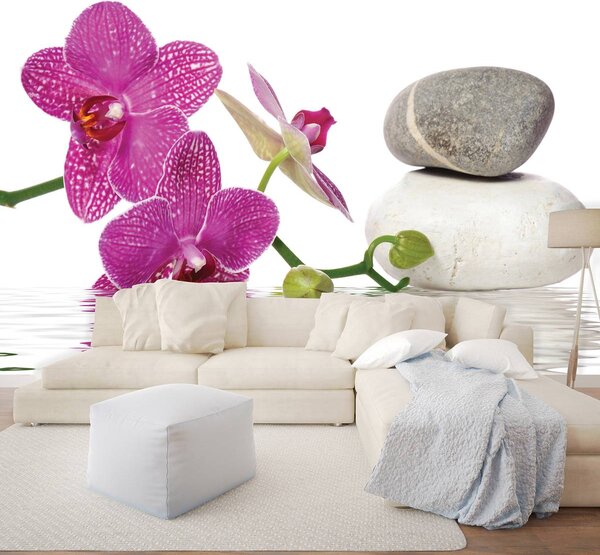 Fotótapéta - Orchideák (152,5x104 cm)