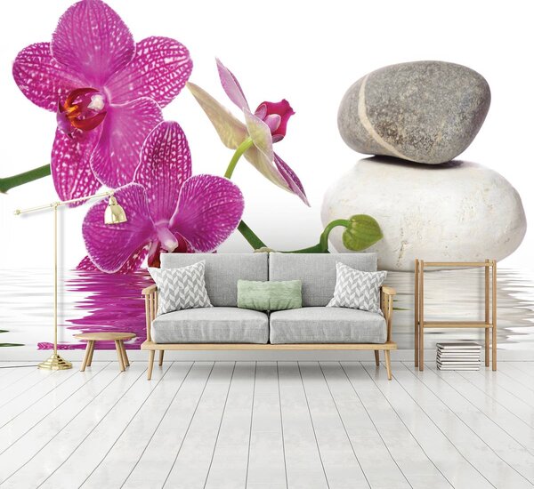 Fotótapéta - Orchideák (152,5x104 cm)