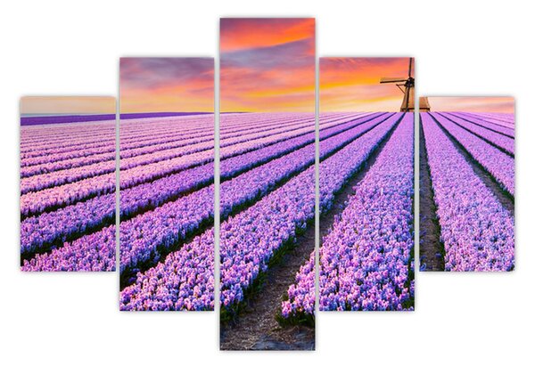 Kép - virágfarm (150x105 cm)